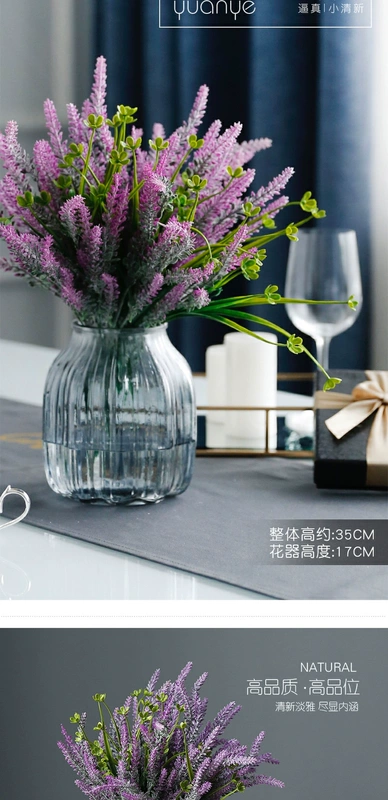 Hoa oải hương mô phỏng Bộ trang trí hoa trang trí Bình thủy tinh Trang chủ trong nhà Bàn ăn trong nhà Tủ TV Nội thất trong chậu - TV