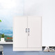 Double lower section iron door folio low cabinet office iron file cabinet with lock information file cabinet voucher book cabinet