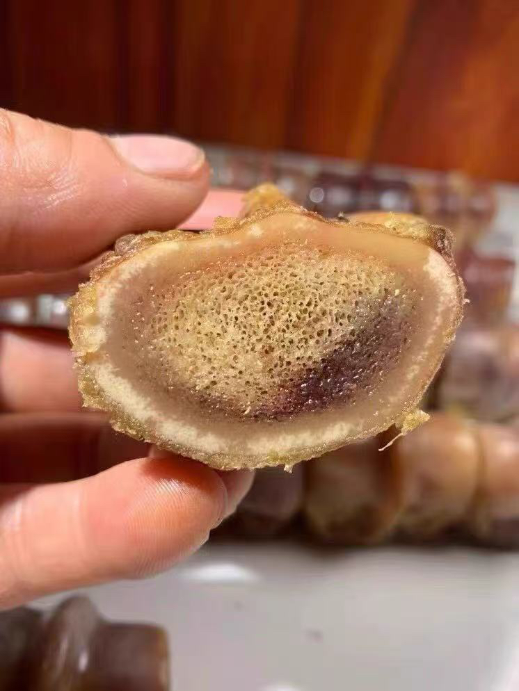 驼骨珍宝：来自大漠的多功能艺术原料