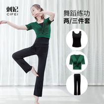 Prickly concubine dance costume practice womens autumn new long sleeve micro-lathe pants modern classical shape clothing training set