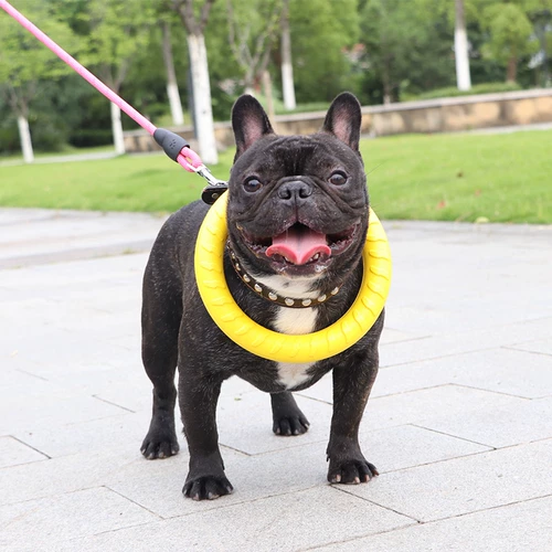 Игрушка, фрисби для тренировок, издает звуки, домашний питомец, подходит для подростков