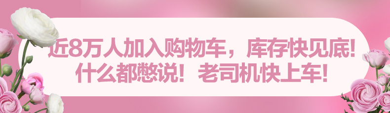 花海预言.jpg