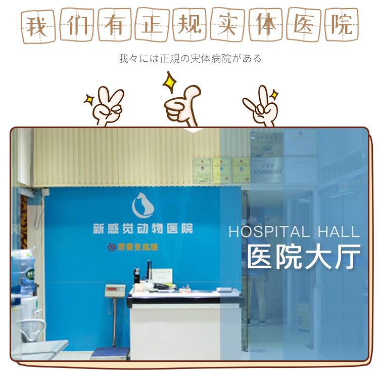 Anh MAG Lysine Taurine Kem dinh dưỡng Cat Amine Powder Sneezing Cat Anime Cat Ammonia Cat Nasal Cat Amine Cream - Cat / Dog Health bổ sung 	sữa cho mèo con 2 tháng tuổi