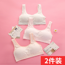 Developmental girls underwear Junior High School High School students 9-14-16-year-old girl small vest without steel ring bra