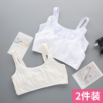 Developmental small vest student girl underwear girl 9-14 Cotton girl junior high school student 16-year-old big child bra