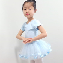 Children Dance Costumes Summer Long short sleeves Early childhood exam grade Gongfu Ballet Dresses Fluffy Dress Fluffy Skirt