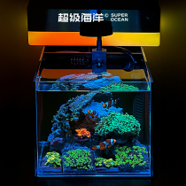 Full set of sea water tank office living room desktop creative small micro tank coral clown fish sea tank super white back filter fish tank