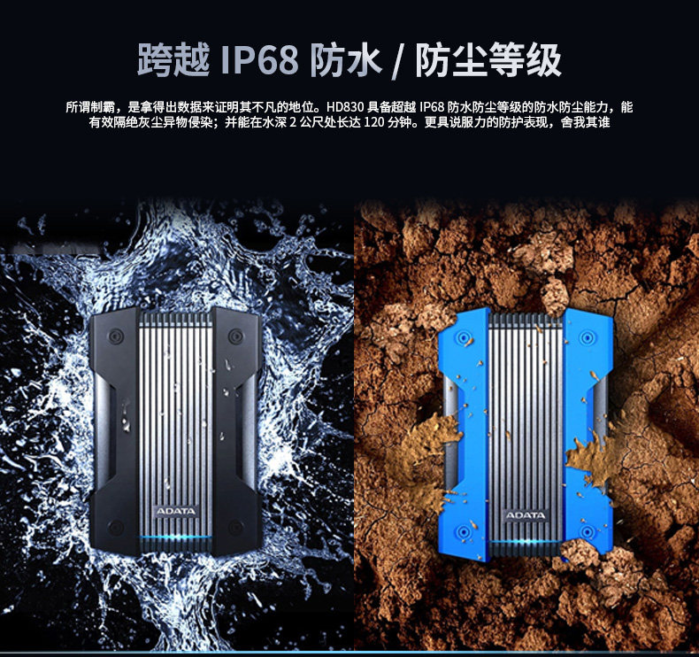 HD830_03.jpg