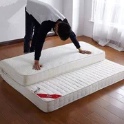 Tatami nệm đôi bộ nhớ đơn giản 1,8m ngủ khách sạn Tatami trải giường đơn giản