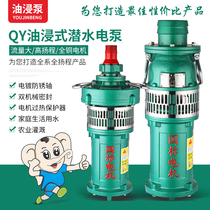 QY oil-immersed submersible pump large flow farmland irrigation oil-filled high head fountain pump three-phase water pump 380V