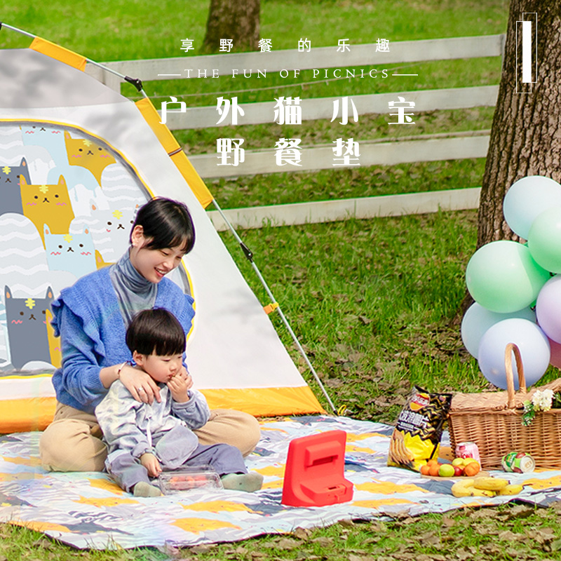 Explorer outing portable camping picnic mat outdoor thickened waterproof and moisture-proof mat park spring outing mat ins wind
