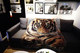 Casual blanket export American country Nordic tapestry decorative blanket animal tiger head tiger