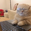 CL磊磊模玩
