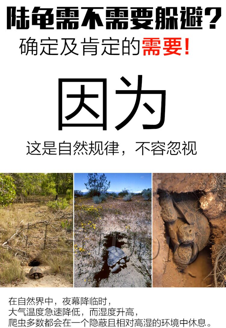 Аксессуары для рептилии 包邮 爬宠陆龟加湿大号/小号爬箱躲避洞 爬虫保湿预防隆背 送瓷盆 H/STUDIO