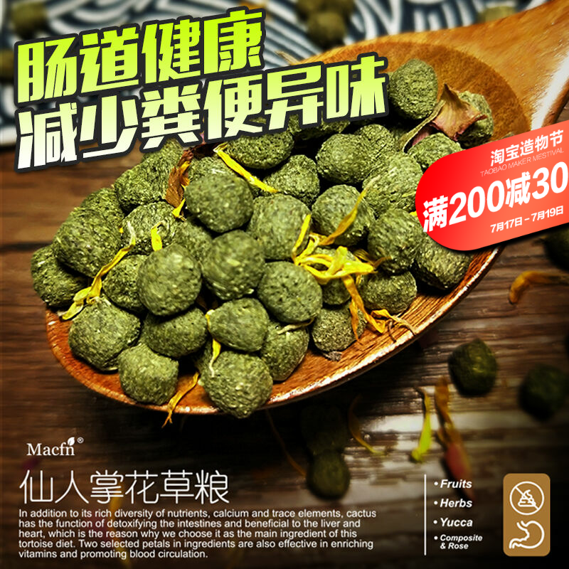 Korean reptile tortoise food Sukada tortoise food feed Tortoise feed Cactus food Mazurui tortoise food