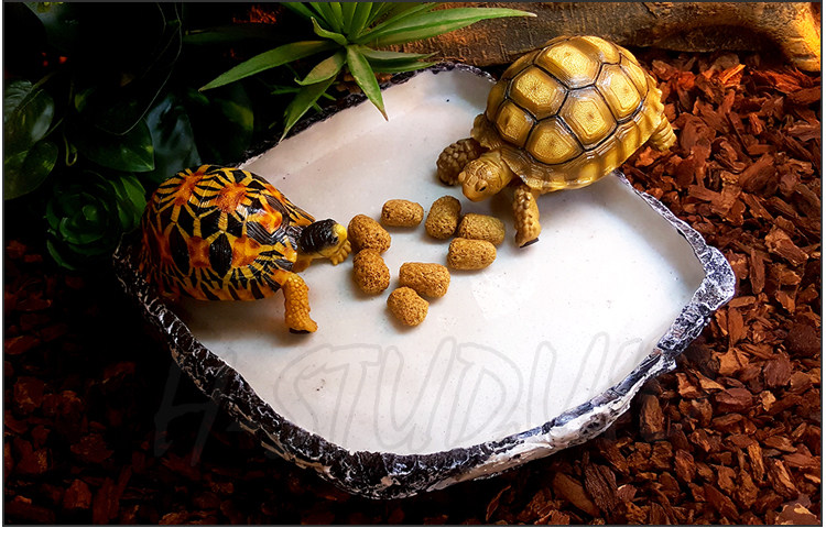 Аксессуары для рептилии 包邮 爬宠爬虫食盆水盆天然树脂合成材质 角蛙乌龟蜥蜴宠物蛇通用 H/STUDIO