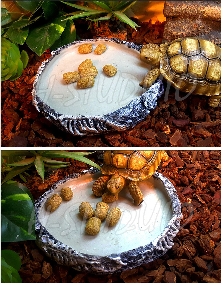 Аксессуары для рептилии 包邮 爬宠爬虫食盆水盆天然树脂合成材质 角蛙乌龟蜥蜴宠物蛇通用 H/STUDIO