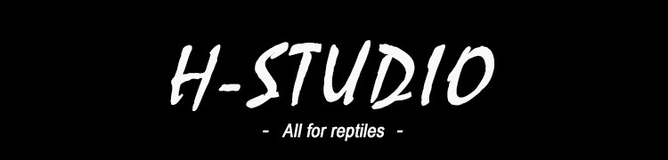 Аксессуары для рептилии 包邮 原色砂石 原生态陆龟箱鬃狮王者垫材 粪便易清理 4kg H/STUDIO