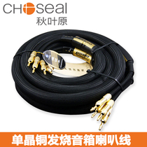 Akihabara fever monocrystalline copper horn wire HIFI audio cable home theater 7 1 power amplifier bile machine rear stage front banana head main speaker cable 2 5 meters 2 6N