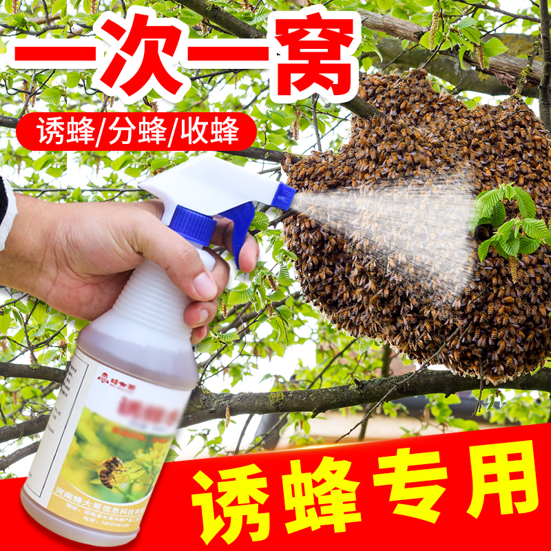 Lured Bee Water Bee Water Bee Special Formula Spray Type Bumblebee Water Field Closeout Bee Colony Queen Bee King Tool