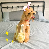 Battermo Физиологические штаны щенки Тедди Корги Тетя Гранд Тихоокеанский Менструальные гигиенические колготки.