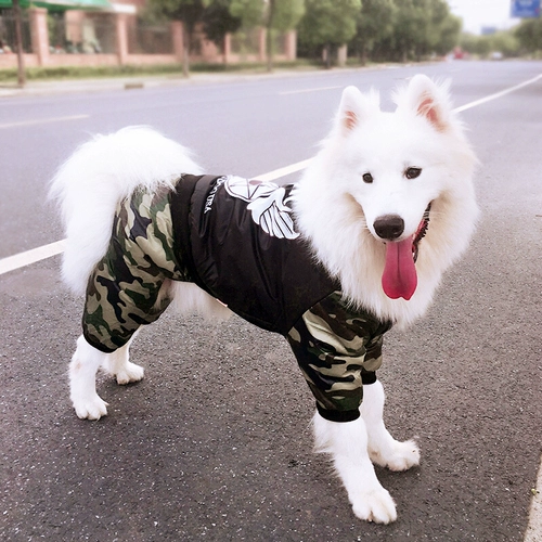 Собачья одежда средней большой собаки с четырьмя легливыми большими собаками Самоя Аляска Пограничная пружина плюс бархатная хлопчатобумажная куртка