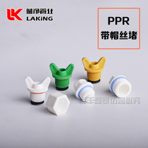 PPR4 points with ears Free of raw material with outer wire plug comes with sealing outer tooth pipe cap Water pipe fitting joint wire plug