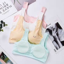  Developmental small vest Middle school students Junior high school high school girls underwear 12-15 years old 13 big virgin virgin girl bra 9