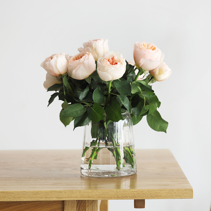 Mi Li wind ins wind Nordic simple transparent glass vase ornament living room flower arrangement hydroponic flower flower utensils