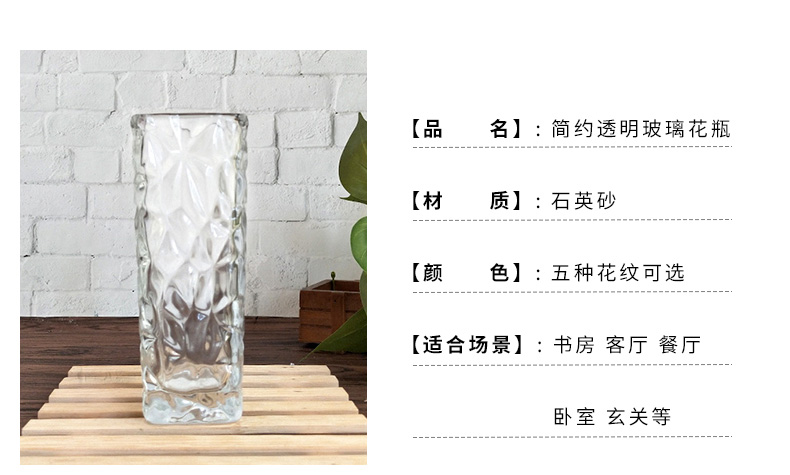 Bình thủy tinh dày tre phong phú cây thủy canh xanh củ cải Bắc Âu bình in nhỏ bình hoa khô bình hoa - Vase / Bồn hoa & Kệ chum sành trồng cây