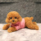 ການຈໍາລອງທີ່ຫນ້າຮັກ Teddy ຫມາ plush toy ຫມາ doll ນອນ doll ເດັກຍິງເດັກນ້ອຍນອນ pillow