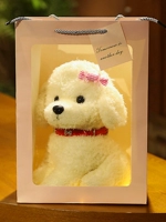 Белый+голова цветок случайный (кукла+сумочка+цветная лампа)