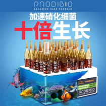 Imported French ProdiBio Kodi Nitrifying bacteria Water purification injection Aquarium Freshwater seawater digestive bacteria EM bacteria