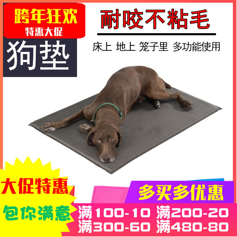 Pet bite resistant mat golden retriever large dog mat Labrador hard mat Teddy Bears mat Four Seasons universal cat mat