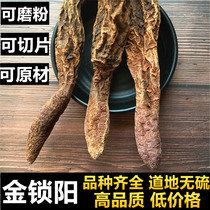 Xinjiang Suoyang Piece Suoyang lead to wine wine male Nourishing Gold Suoyang can be beaten with leek seeds