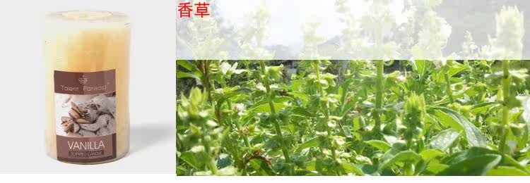 Bougie        - Ref 2487921 Image 18