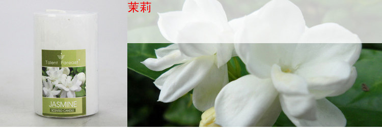 Bougie        - Ref 2487921 Image 15