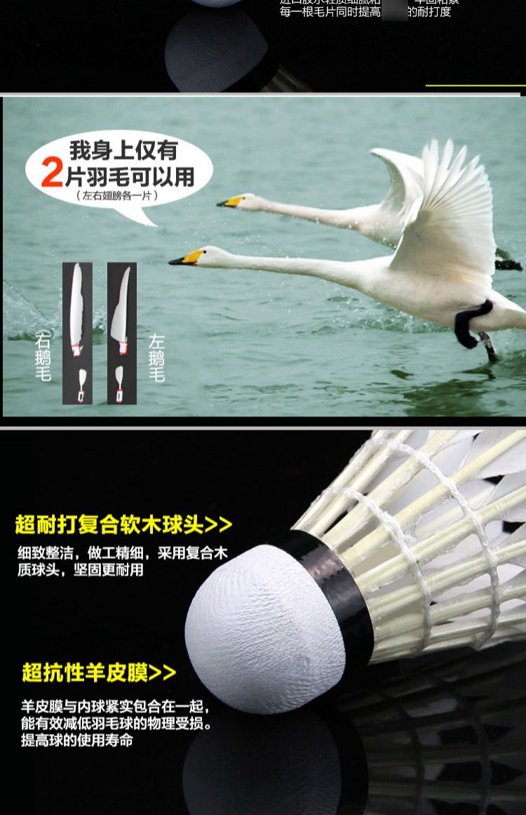 Wuzhou Sports Li Ning A6 kháng cầu lông AD36 thi đấu bóng tập A + 60 không tệ 12 Gói A + 90 túi đựng vợt cầu lông 2 ngăn