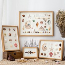 Natural shell conch diy making specimen hanging painting Handicraft ornaments photo frame home creative decoration products