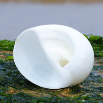 Cats eye snail natural shell conch roll shellfish hermit crab change shell fish tank landscape aquarium decoration handmade diy