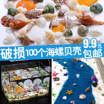 Natural shell conch set childrens handmade fish tank landscaping decoration aquarium set broken conch sea star