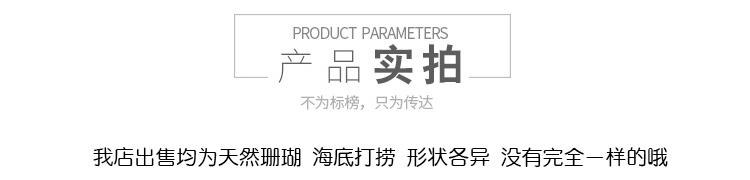 Vỏ ốc xà cừ san hô trắng san hô đá bể cá cảnh quan đá hồ trang trí nhà nền tảng đồ trang trí Địa Trung Hải - Trang trí nội thất cách decor phòng ngủ