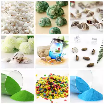 Natural shell conch drift bottle craft gift decoration micro landscape creative diy ocean bottle rainbow bottle material small starfish