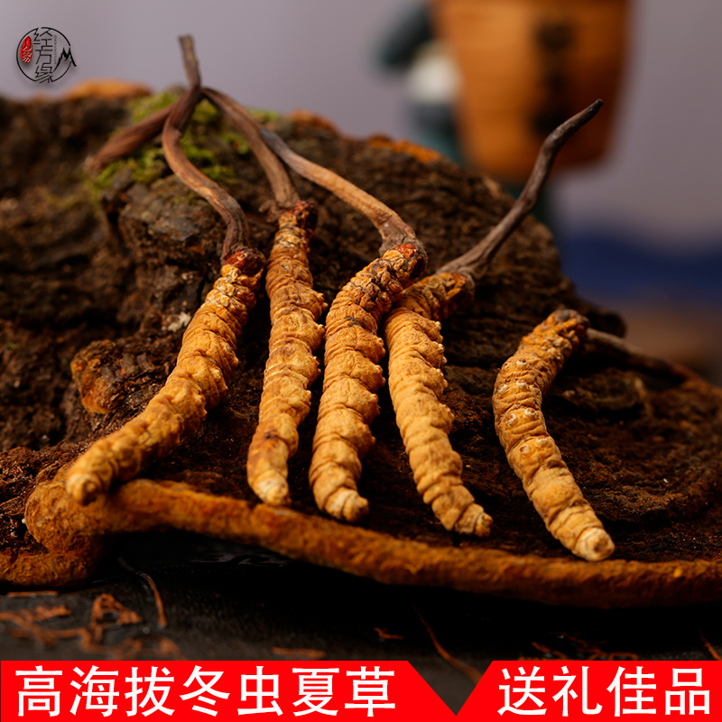 5 gr Caterpillar Fungus Tibet's Caterpillar Fungus Dry Goods 4000 Specifications True Cargo Another 3500 Article 2800 Article 2800