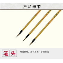 Yangzhou Zhuxuan) Small leaf tendon thin gold outline pen meticulous brush watercolor painting Langhao (No. 5 Huazhiqiao)