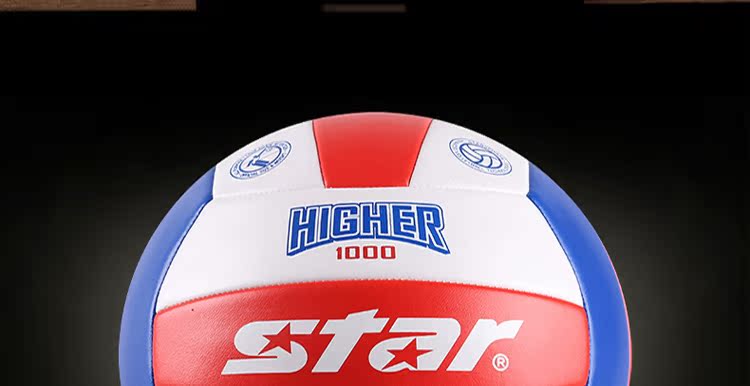 Ballon de volley - Ref 2015094 Image 13