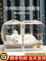 New Years birthday gifts Girls send girlfriends Girlfriends Special Practical And Refined Kitty Dolls Valentines Day Gift