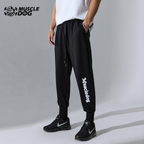 Muscle dog spring and autumn trousers trend embroidered trousers loose training fitness pants sweatpants sports casual trousers men
