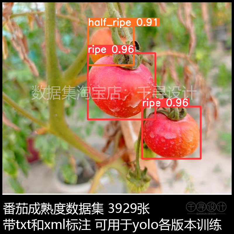 Ai Target Detection Tomato Maturity Dataset, Xihong Market Maturity Dataset, Voc Yolo with Annotations