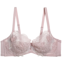 Admiration Underwear Womens Summer Thin Exquisite Lace Gathering High-Looking Bra Sexy Bra AM138321